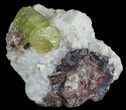 Apatite Crystals with Magnetite & Quartz - Durango, Mexico #64026-2